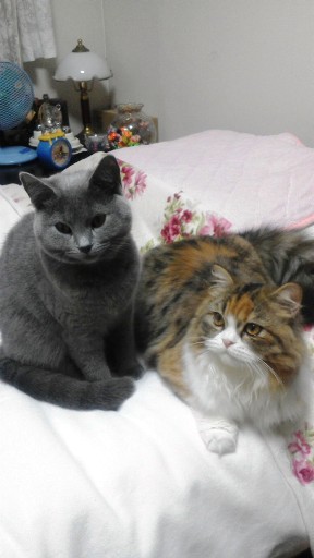 20131125131807.jpg