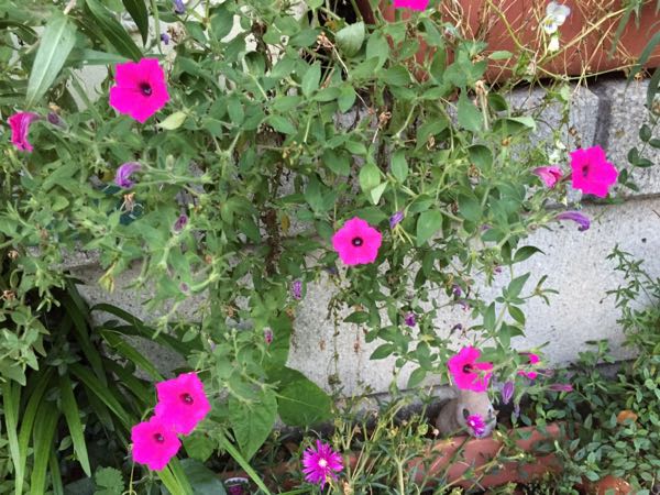 rblog-20160710211450-03.jpg
