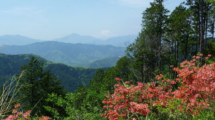 高尾山　2014-5-3-2