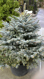 2013111514230001.jpg