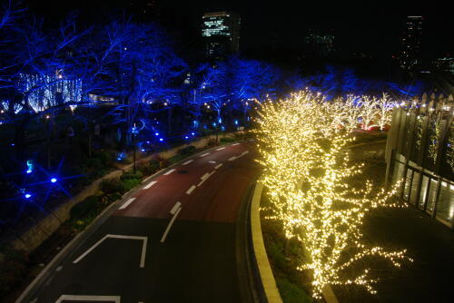 東京ミッドタウンのクリスマスイルミネーション