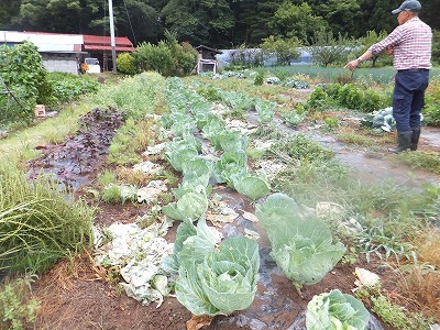 DSCF3754.jpg