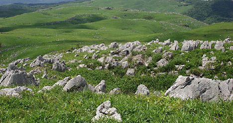 photo01.jpg