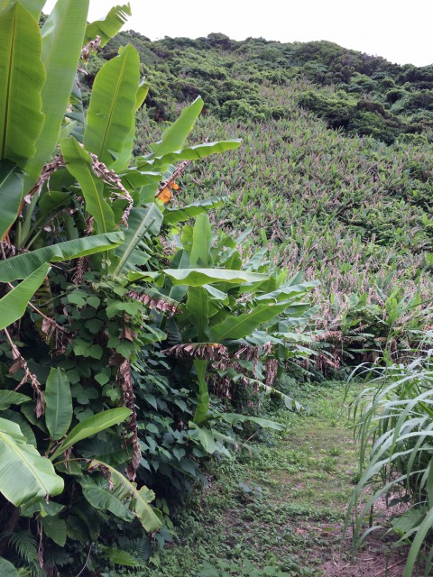 s_IMG_4727.JPG