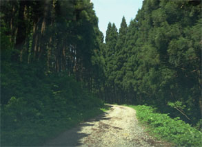幻想5.jpg