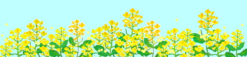 nanohana500chou-line[1].gif