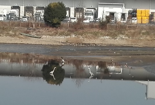 IMG_20180120_112759.jpg