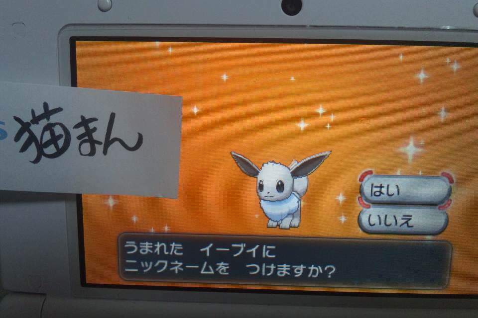 ポケモン の記事一覧 さんごじゅなす 楽天ブログ