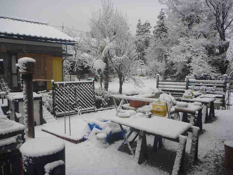 積雪５センチ。