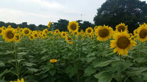 rblog-20160814225810-06.jpg