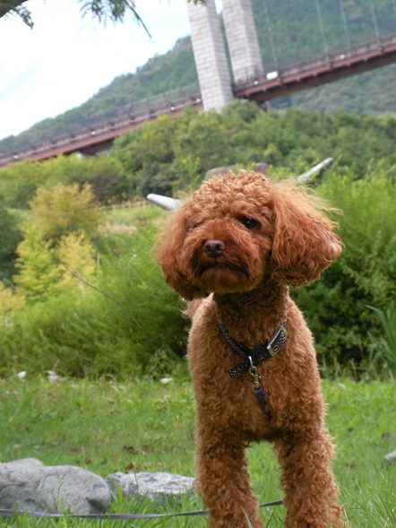 SANY0295_R.JPG