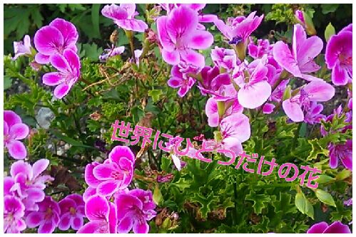 rblog-20160710165913-00.jpg