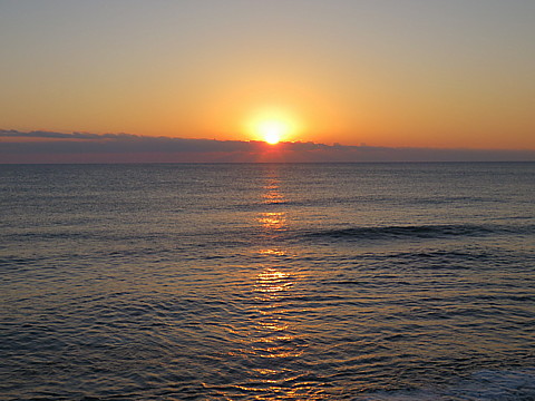 IMG_0846.jpg