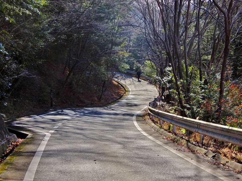遊歩道4