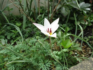 IMG_0648ss.jpg
