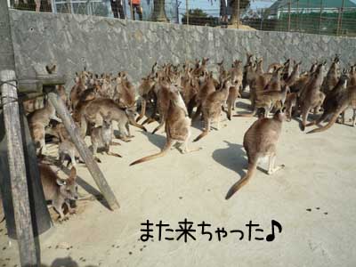 ひびき２.JPG