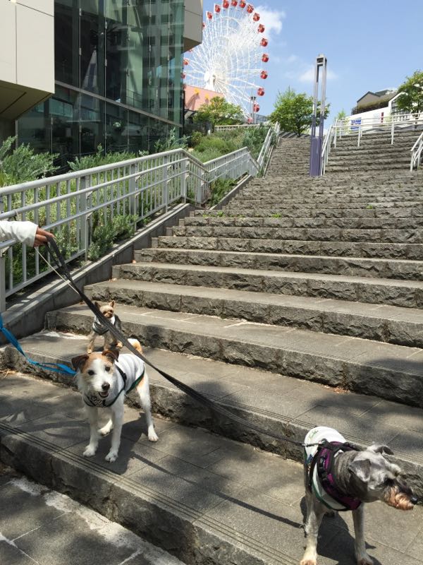 rblog-20160426011721-01.jpg