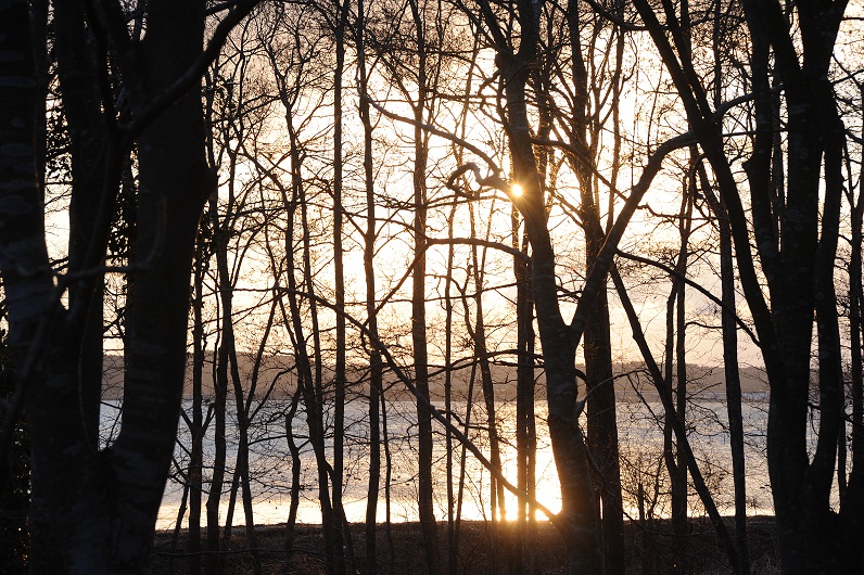 2012.1.25 002.JPG