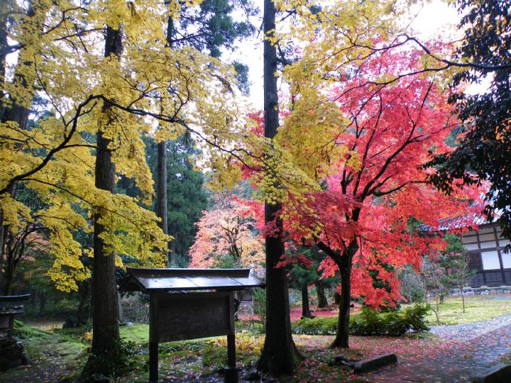 しが湖西a07興聖寺.JPG