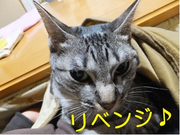 20121111_4.jpg