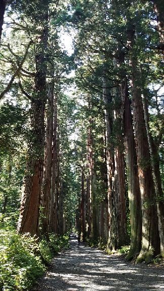 rblog-20180906200421-03.jpg
