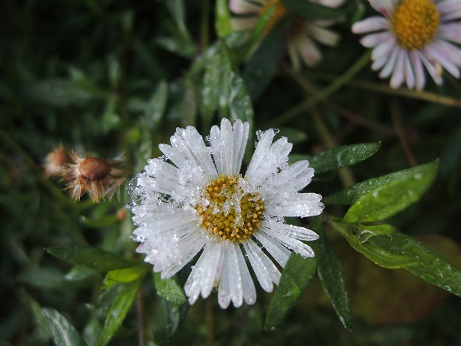 DSCN6673.JPG
