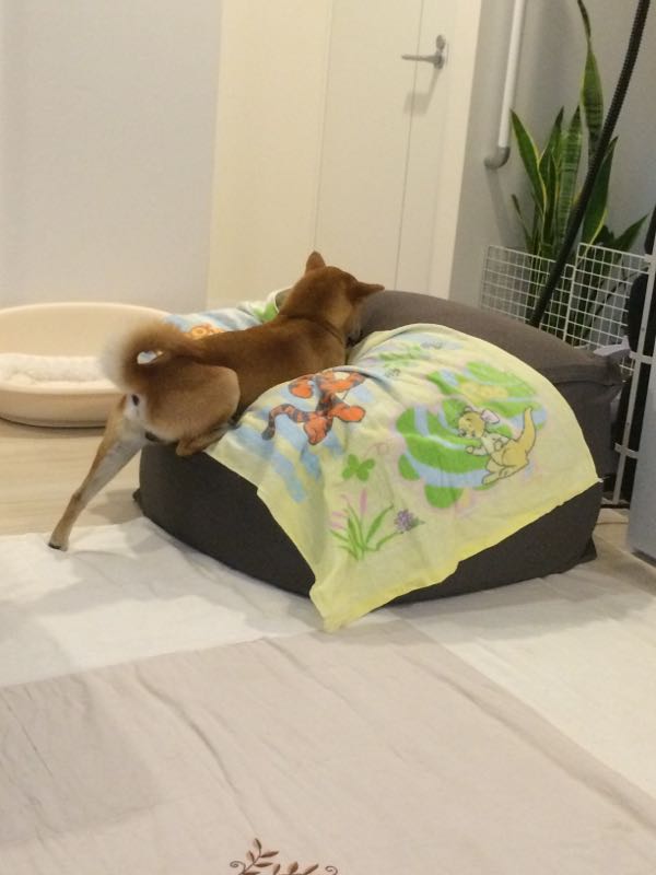 rblog-20151211165120-04.jpg