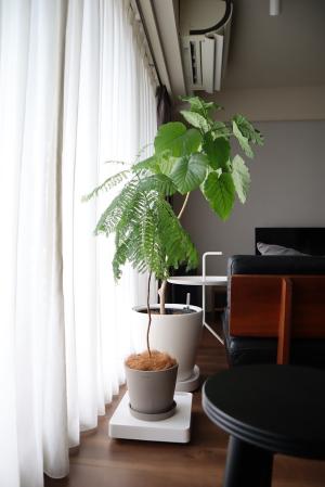 658fa2c6ca357169db193aedfadc74