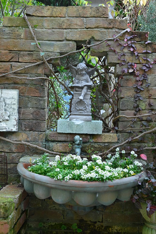 DSC_0245.JPG