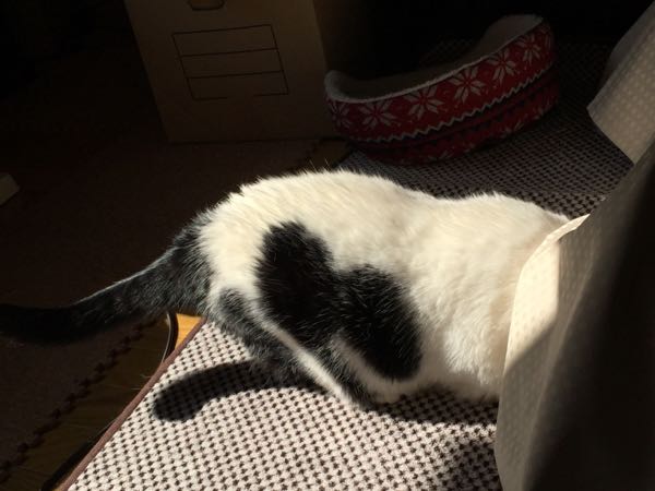 rblog-20160315094915-01.jpg