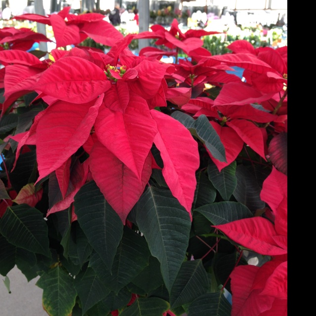 rblog-20131111133412-01.jpg