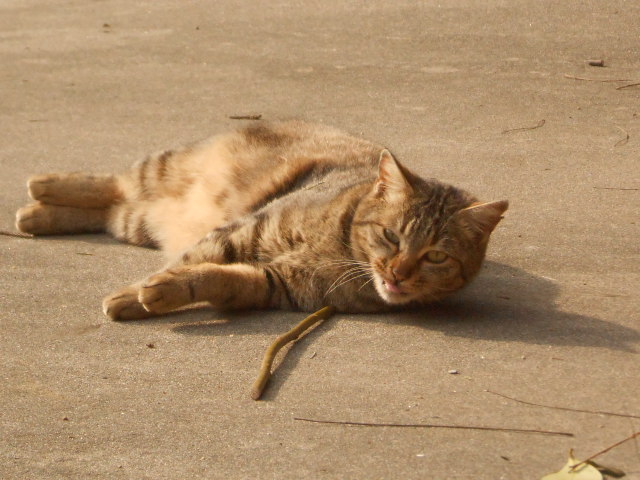 DSCN0948.JPG