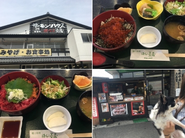 160503はらこ茶屋