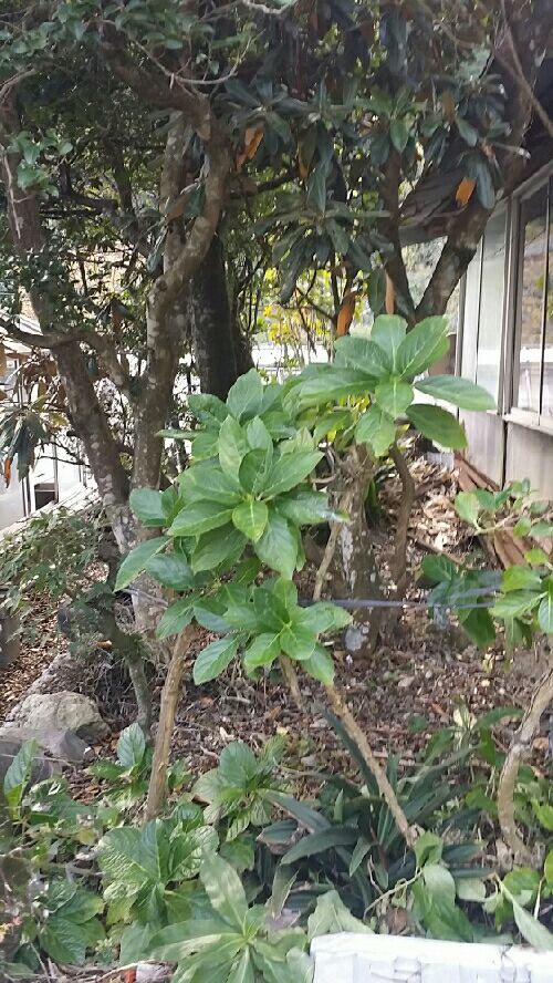 rblog-20151129172333-02.jpg