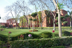 インド221.jpg