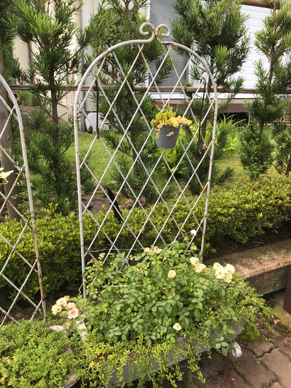 rblog-20180624181904-03.jpg
