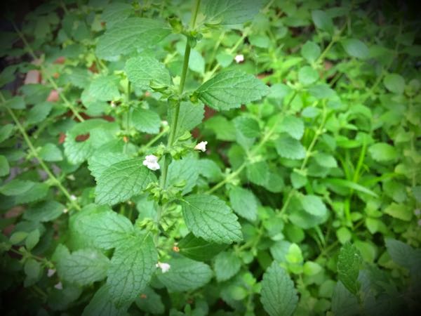 rblog-20160627210333-04.jpg