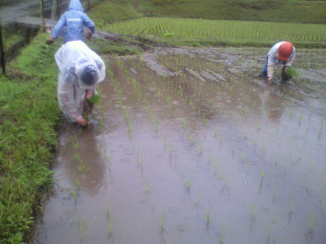 2012061710320000.jpg