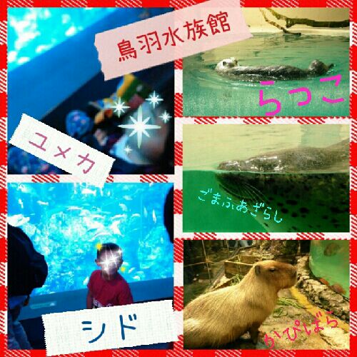 rblog-20150924153520-01.jpg