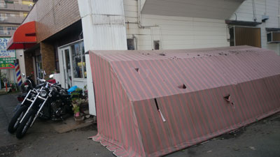 7233.jpg