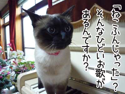 ピアノ１.JPG