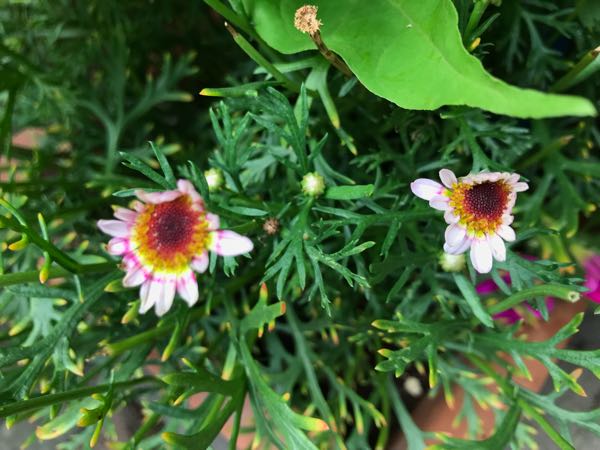 rblog-20180628165032-04.jpg