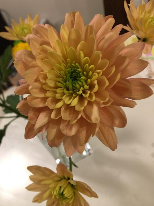 rblog-20190131192750-01.jpg