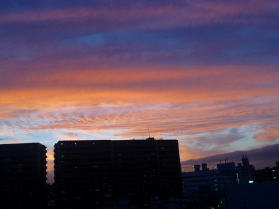 １９日の夕焼け.jpg