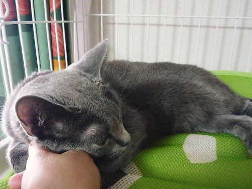 2014年09月08日_P1200076.jpg