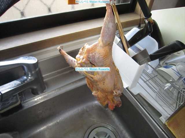 Feb 21 セブから帰国して10カ月が過ぎた キジそば リタイア生活 セブ島のひま人 楽天ブログ