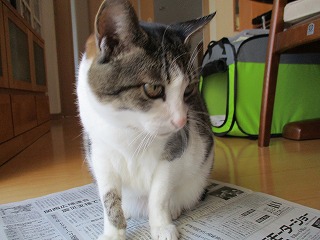 IMG_3118ss.jpg