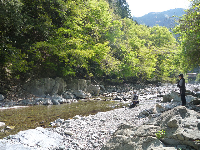 resize0008.jpg