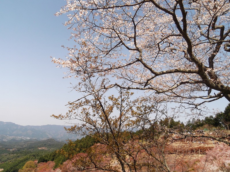 DSCF1495.jpg