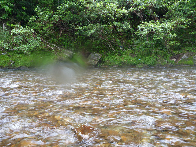 resize2605.jpg